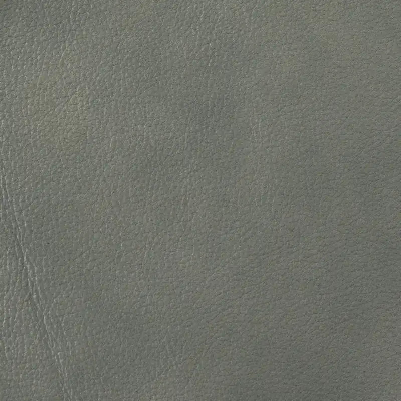 Alicia 32.68 Wide Genuine Leather Manual Recliner